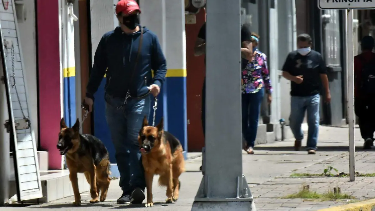 333-guanajuatenses-se-contagian-de-coronavirus (3)