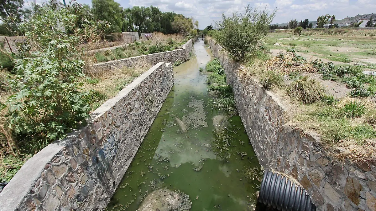 Basura-Arroyos (2)