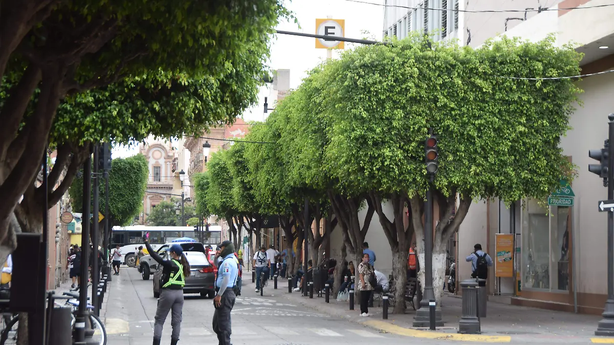 ARBOLES (3)
