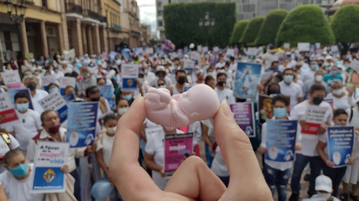 edgar camacho archivo sol marcha (1)