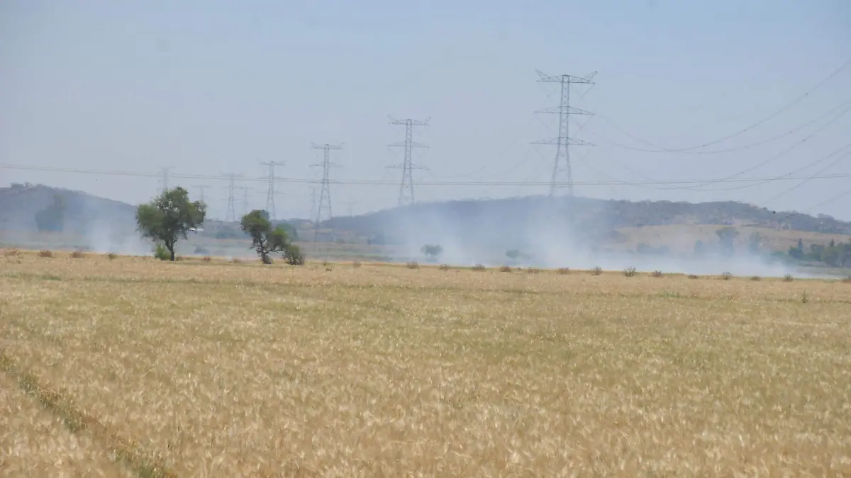 quema-de-esquilmo (1)