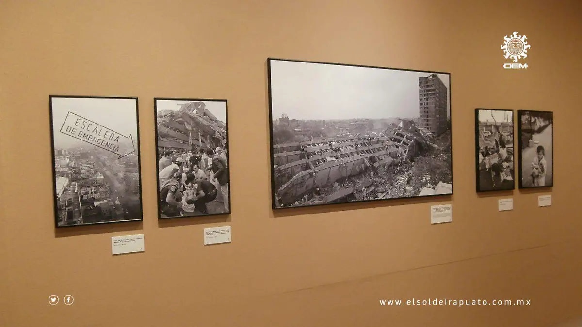 Exposición-Celayense (5)