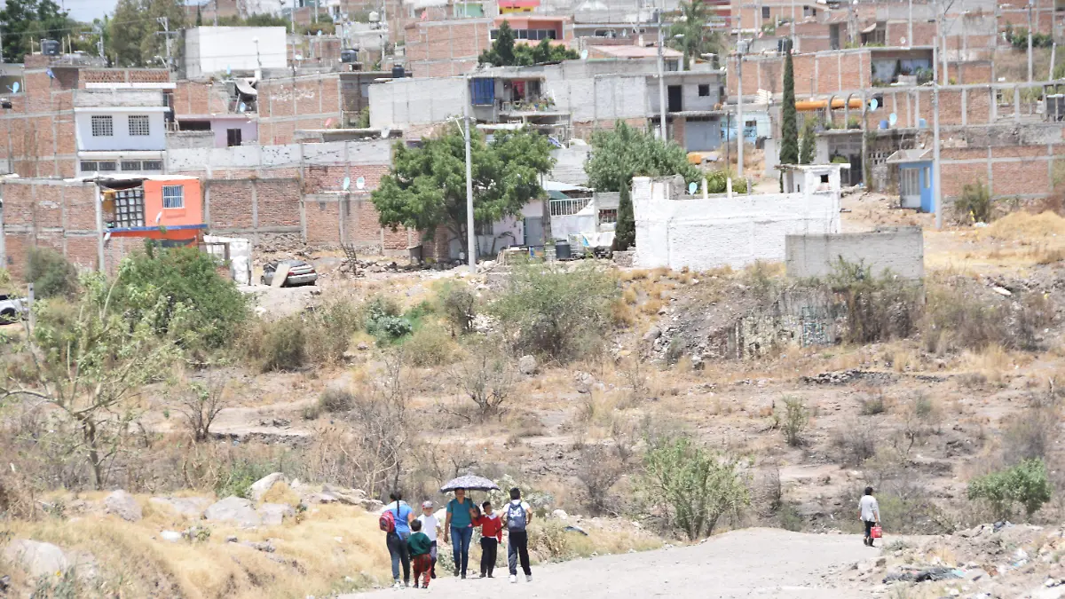 f. carmona. inseguridad (5)