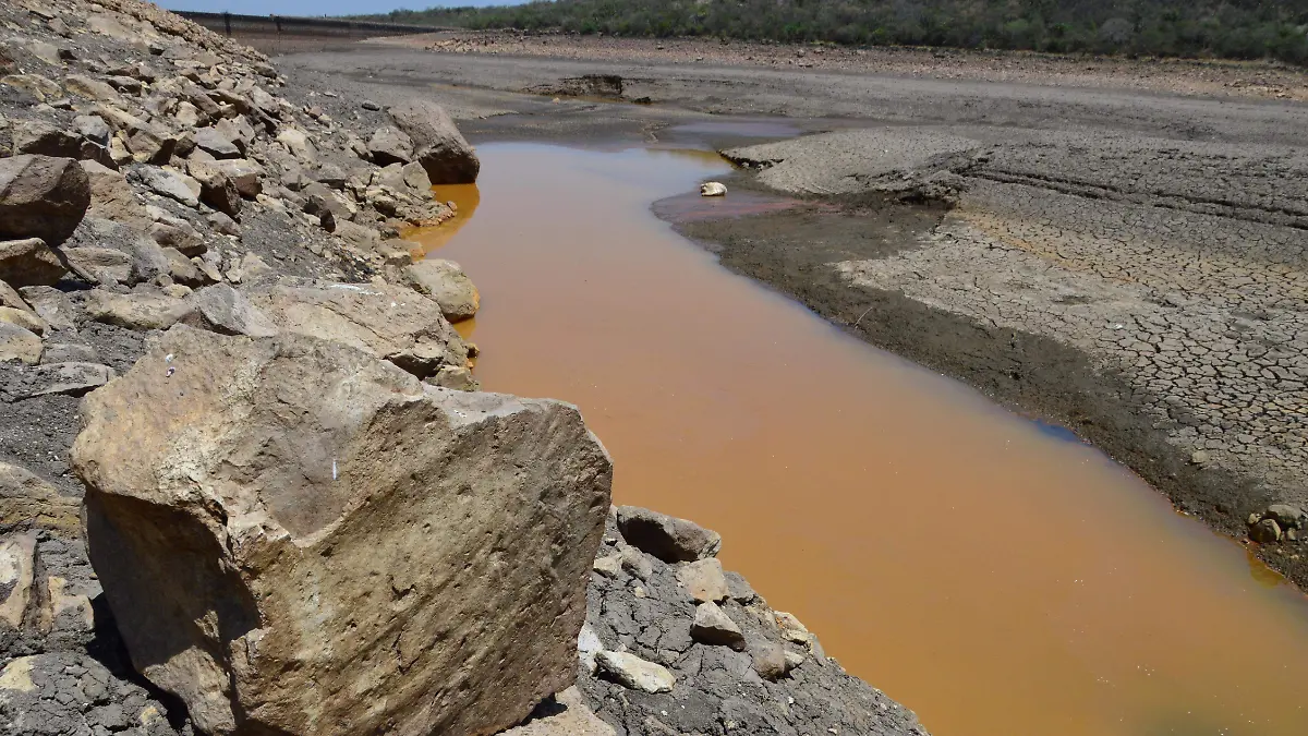 Hay-otras-presas-4-okokok