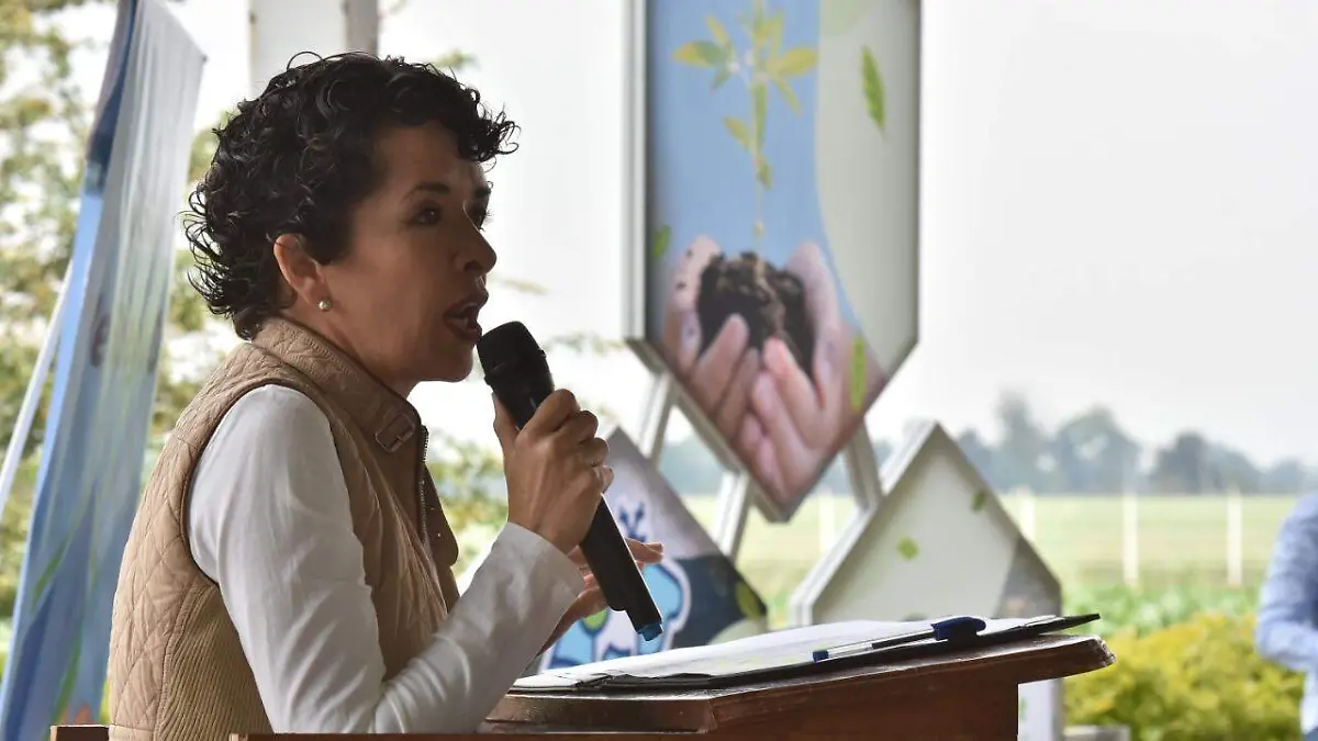 Bajan-niveles-de-contaminación