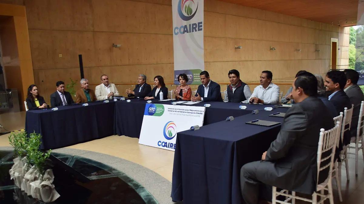 f carmona calidad derl aire (4)