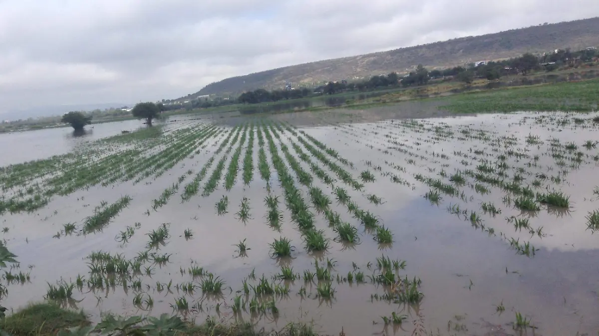 1f carmona campo lluvias (1)