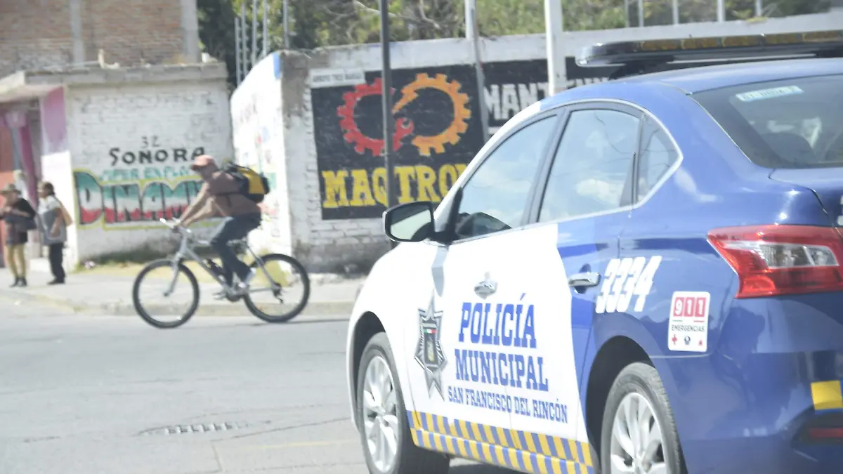 F CARMONA SEC SEG PUBLICA SFR (2)