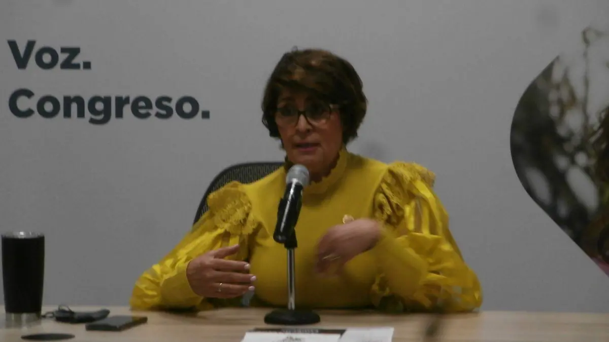 Guanajuato preparan la XIV Asamblea Plenaria de COPECOL-Fotos Crescencio Torres (1)