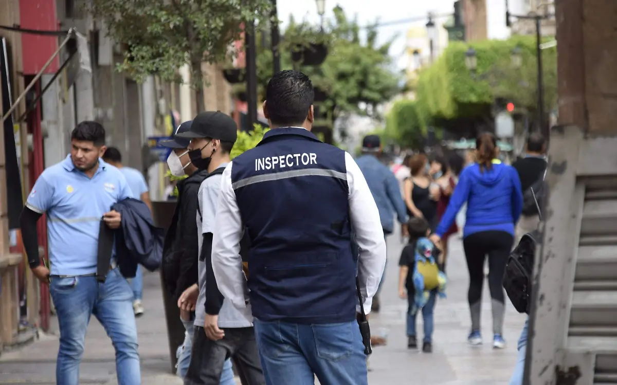 F CARMONA INSPECTORES  (1)