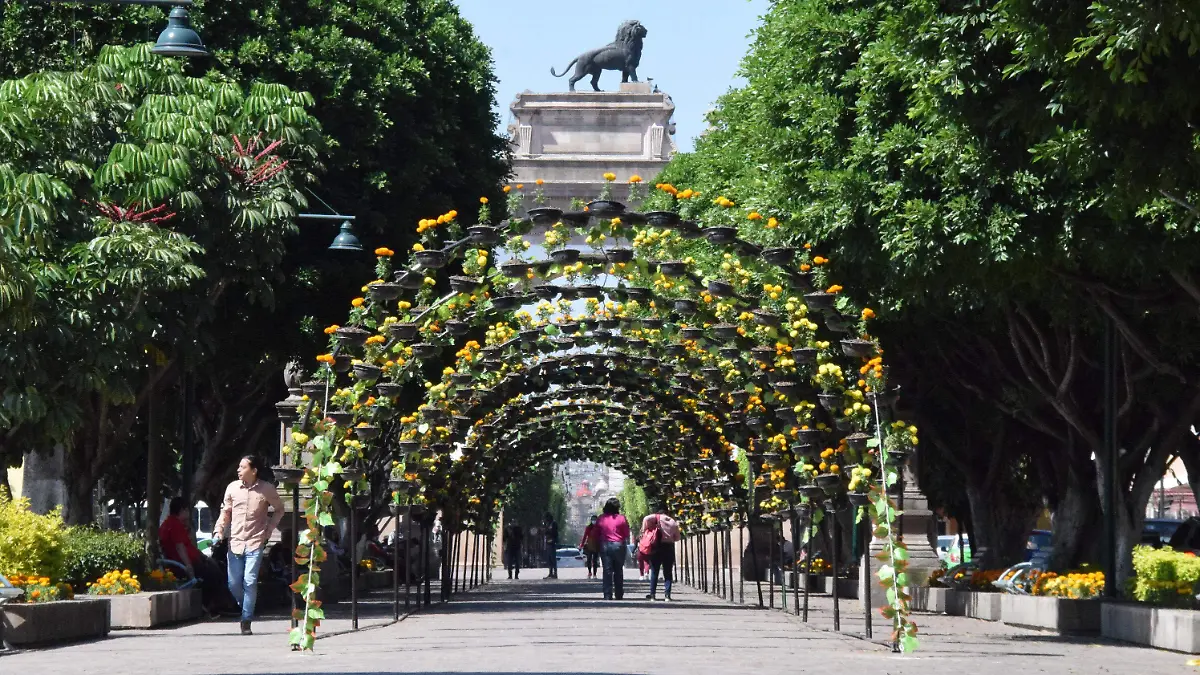 F CARMONA CALZADA DE LOS HEROES (1)