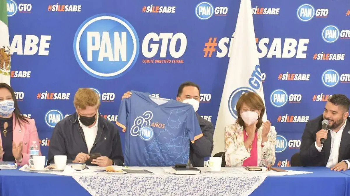 PAN ESTATAL ALIANZAS PAN (2)