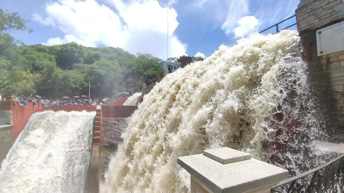 WhatsApp Image 2021-07-05 at 11.12.44 PM