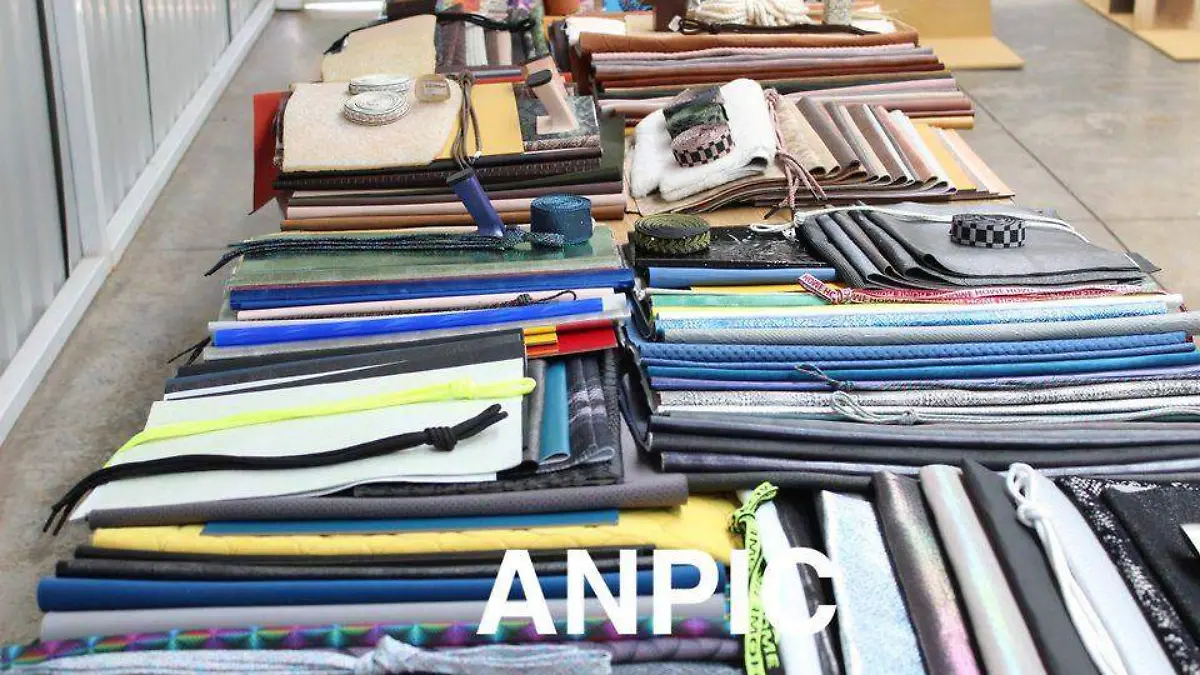 anpic segundo día (1)