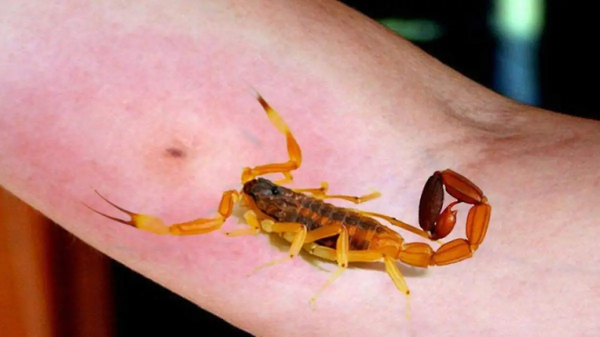 ebbc0839af0d172d776d8d07c7e1f60f_L