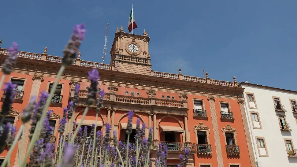 WhatsApp Image 2020-04-03 at 9.33.17 PM