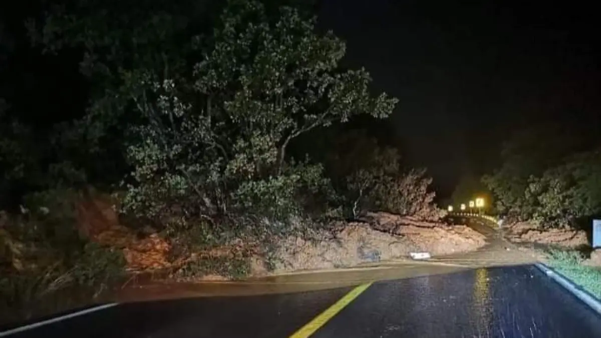 WhatsApp Image 2021-10-02 at 1.50.31 PM