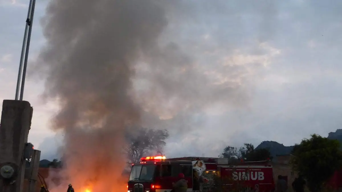 WhatsApp Image 2021-02-28 at 6.50.48 PM