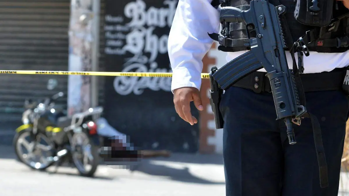 WhatsApp Image 2021-12-11 at 4.56.11 PM