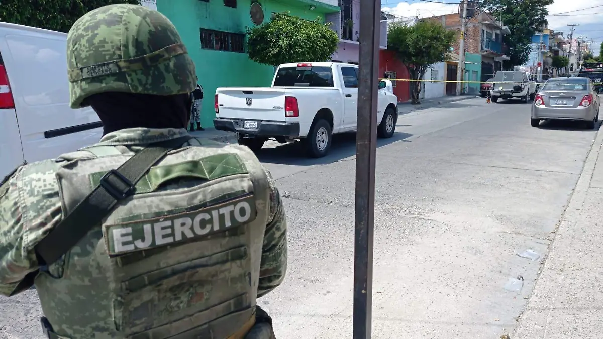 violencia-león (3)