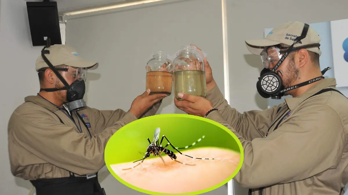 F CARMONA DENGUE (10)