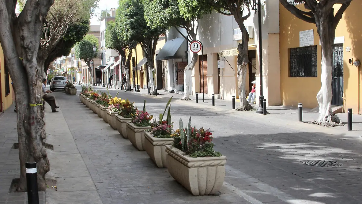 ALTAMIRANO MACETAS (2)