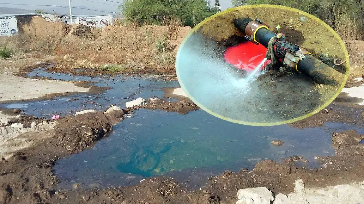 WhatsApp Image 2020-07-24 at 7.37.08 PM