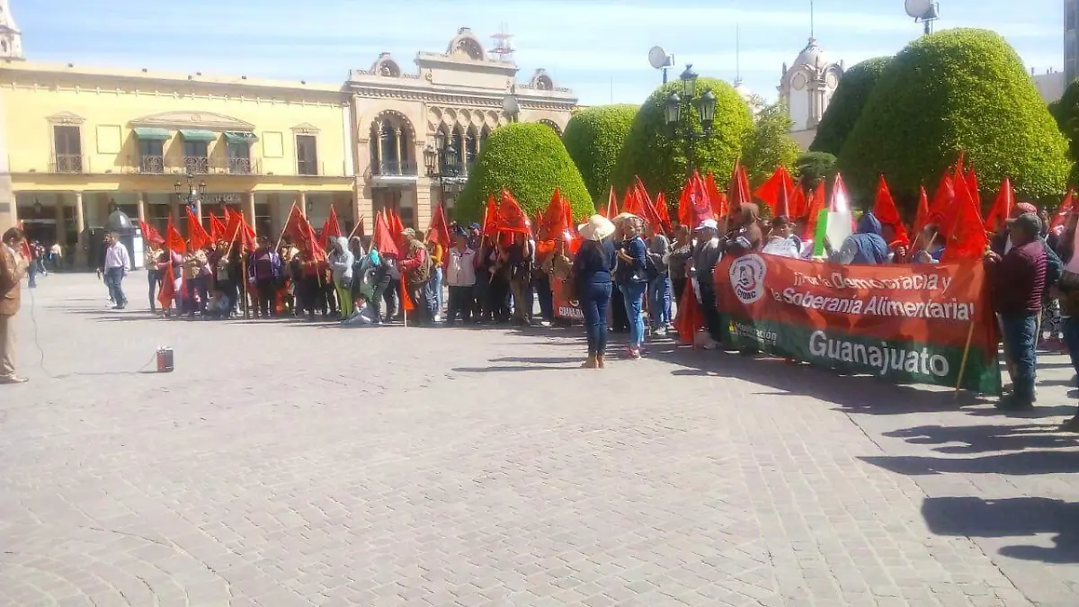 WhatsApp Image 2019-02-05 at 12.08.21 PM