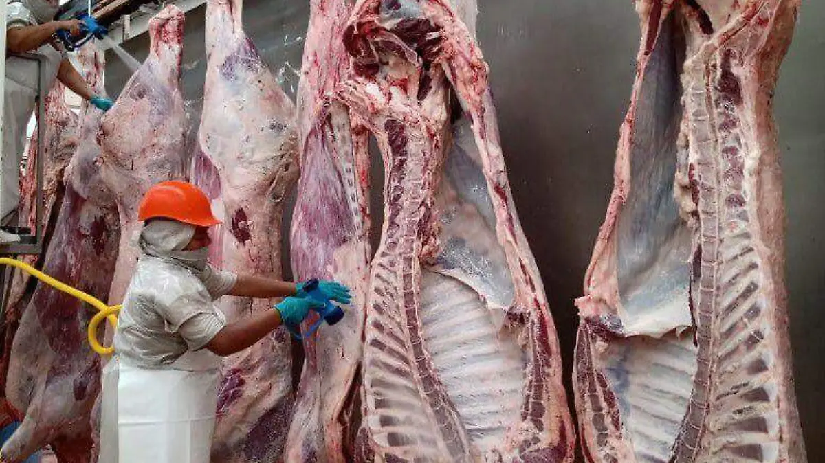 ASEGURAN ALIMENTOS 1