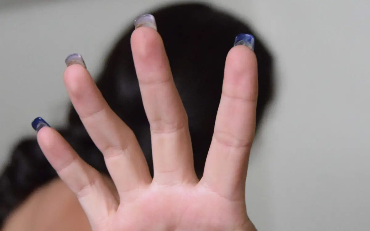 MODELO SEGURIDAD (2)