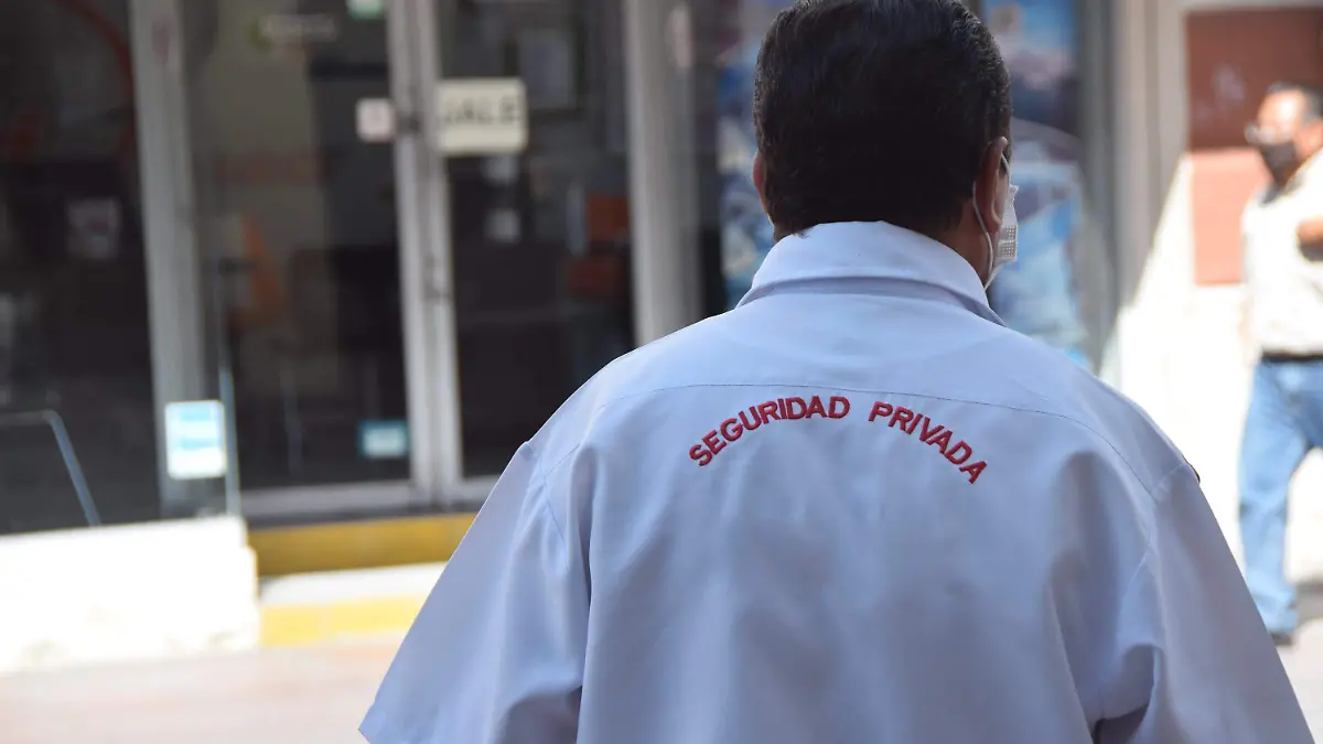 Seguridad-privada (2)