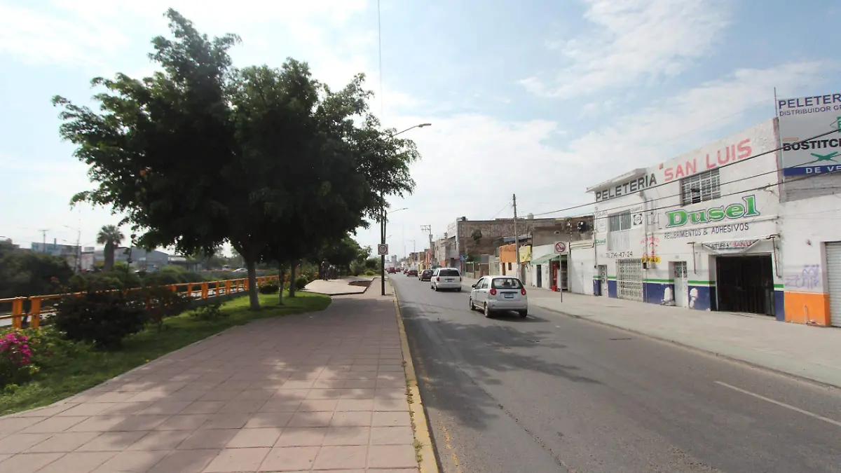 MALECON (3)
