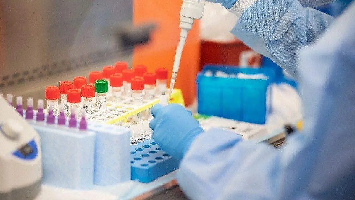 WhatsApp Image 2020-11-09 at 6.17.14 PM