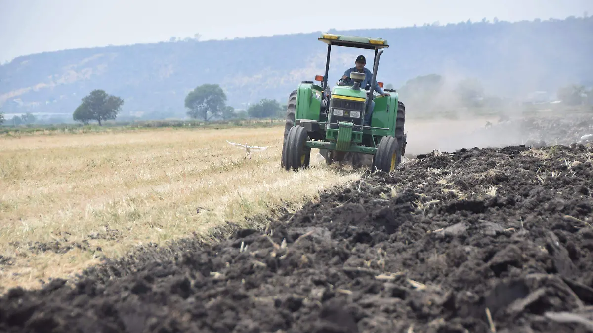 ARCHIVO OEM-CAMPO (2)