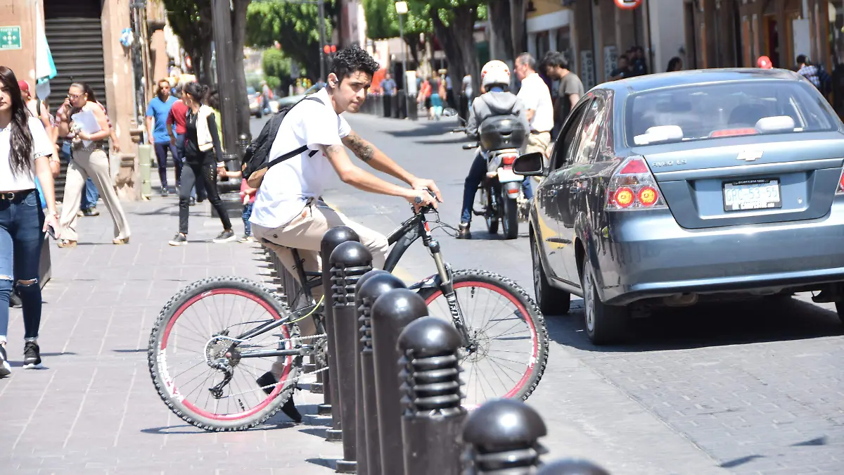 f carmona bici publica (8)