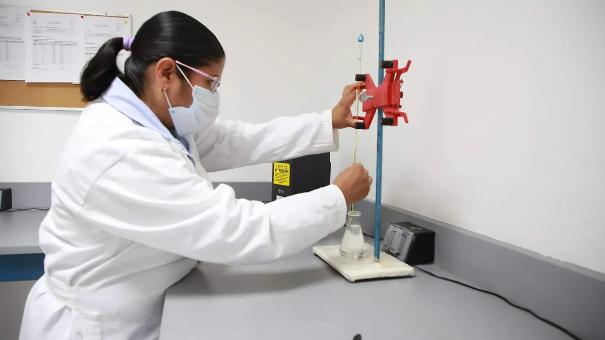 FOTOS SAPAL - SAPAL 2