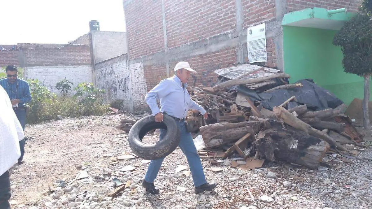 RECOLECCIÓN (4)