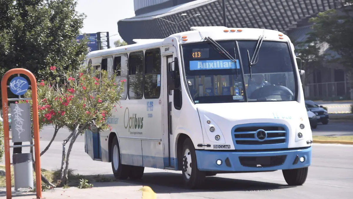 F CARMONA TRANSPORTE FIG (9)