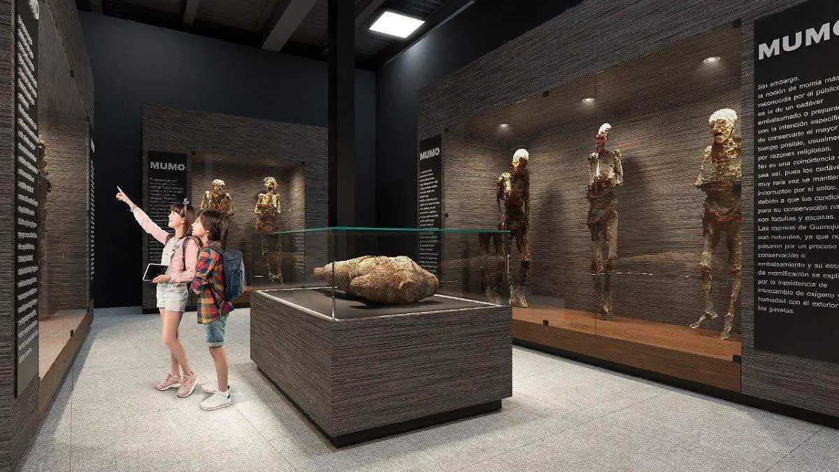 WhatsApp Image 2021-12-13 at 1.05.47 PM