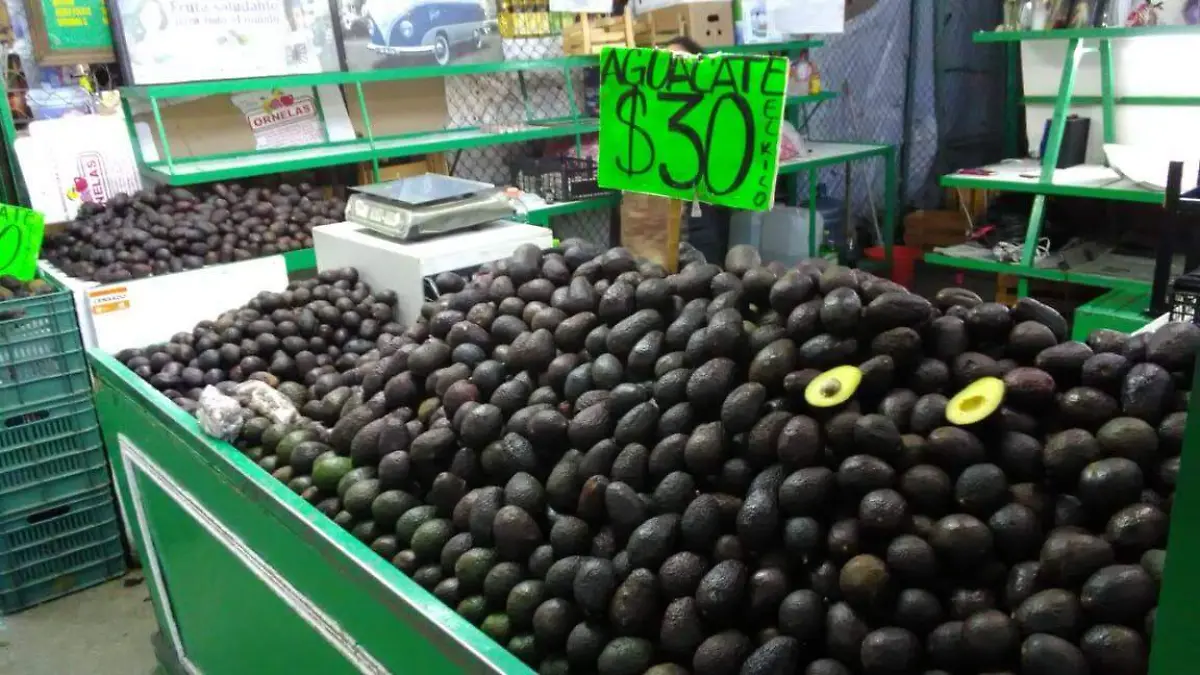 WhatsApp Image 2019-04-08 at 3.33.30 PM