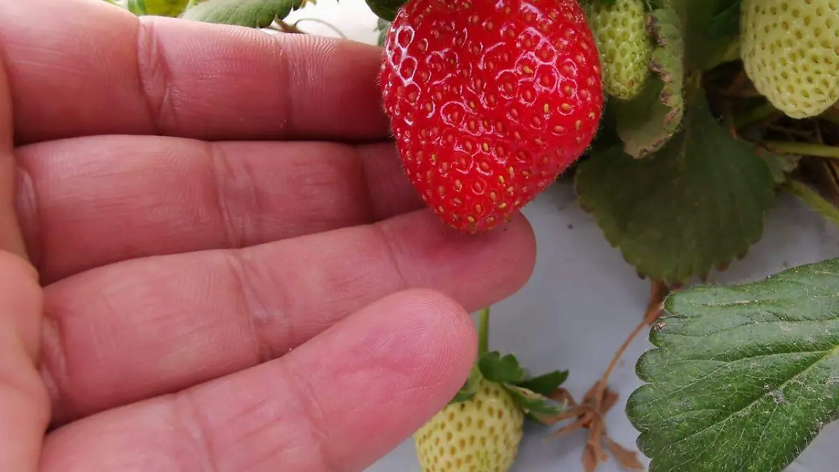 A-68-países-del-mundo-2-okokok