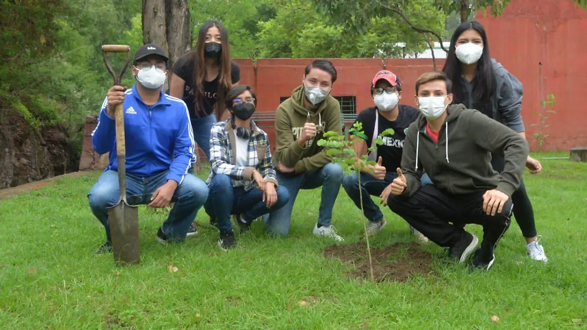 smaot plantan árboles