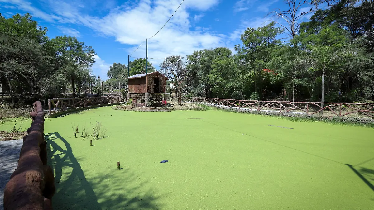 ZOO - Fotos Cortesía Municipio (4)