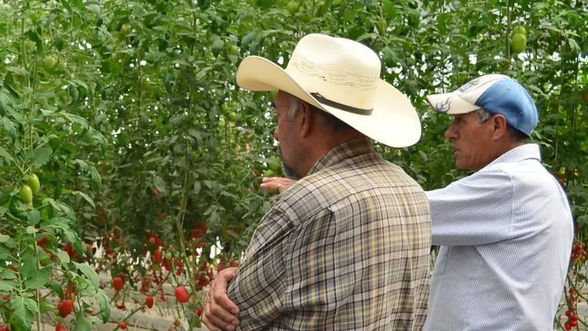 Los-migrantes-están