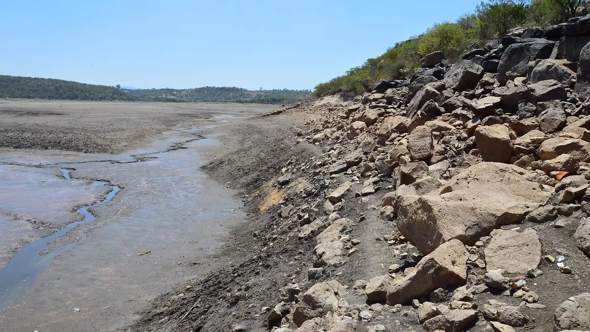 Hay-otras-presas-2-okokok