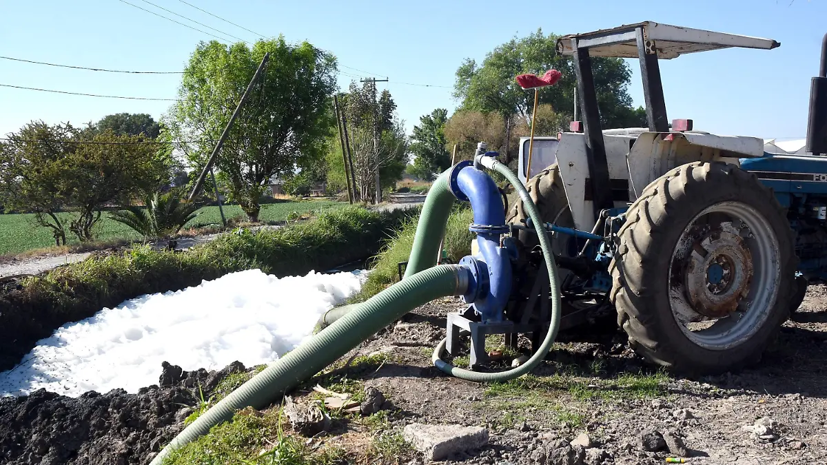 penas-más-severas-para-robos-en-el-campo (3)