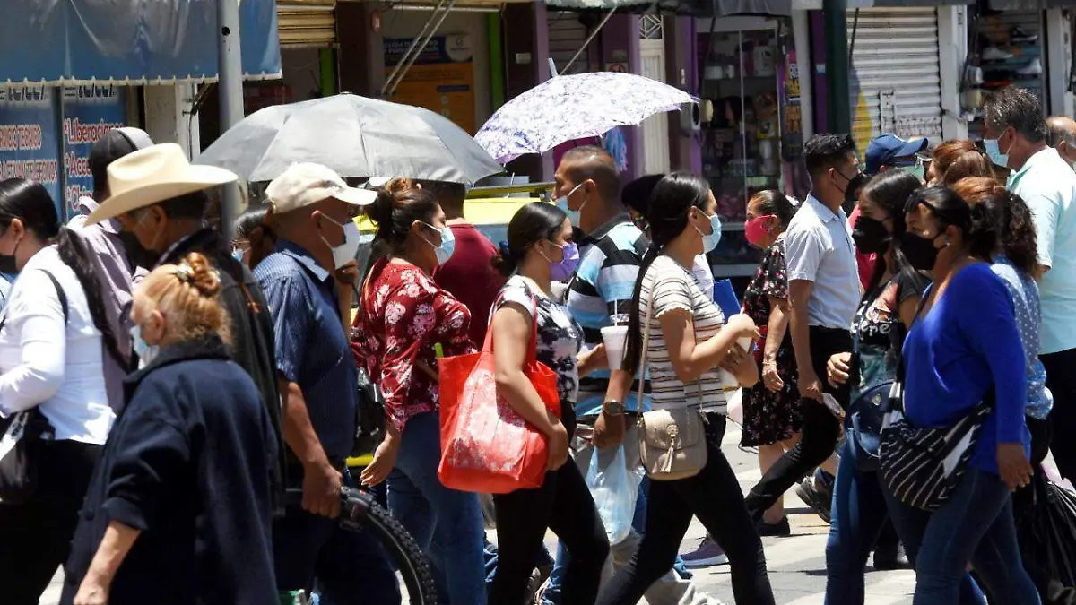 WhatsApp Image 2021-08-22 at 2.37.50 PM