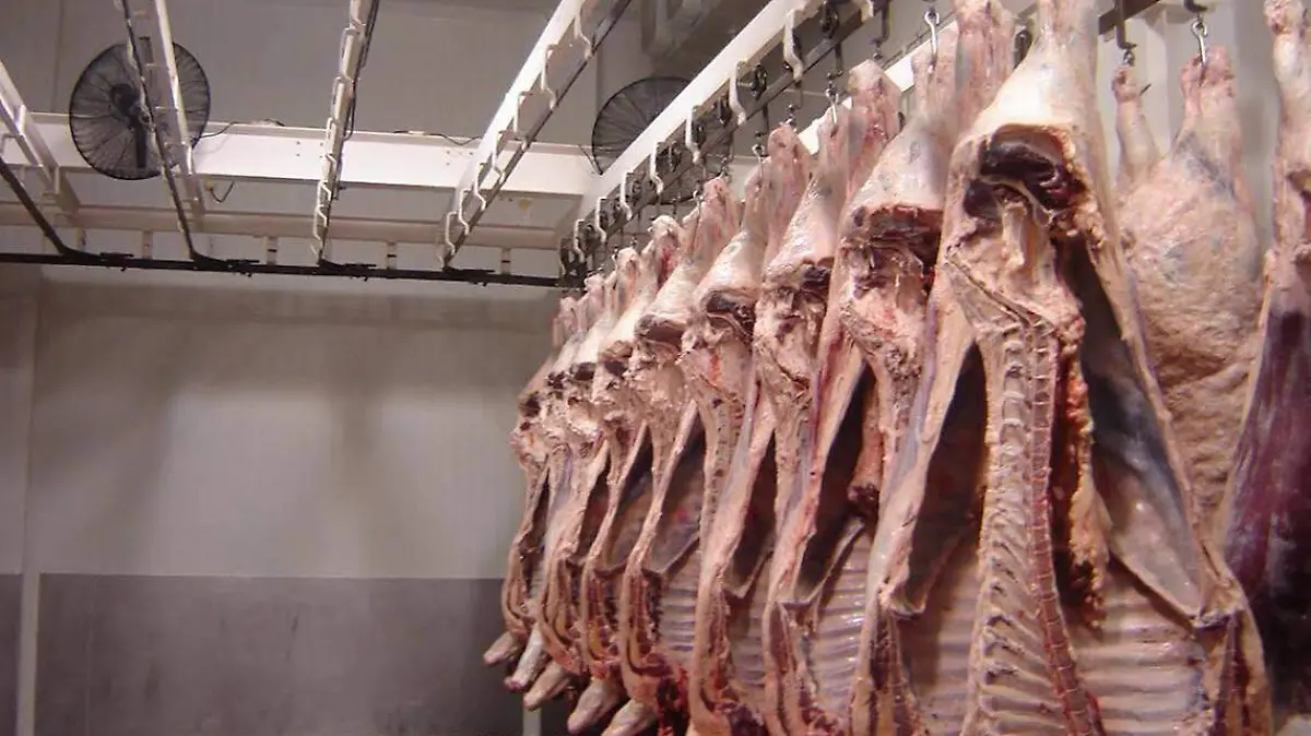 E.CAMACHO - CONGRESO DE CARNE   (2)