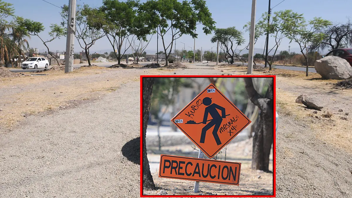 GGARCIA CICLOVIA P DE JEREZ (9)