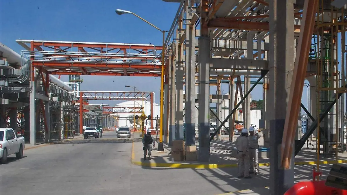 WhatsApp Image 2020-07-15 at 12.26.50